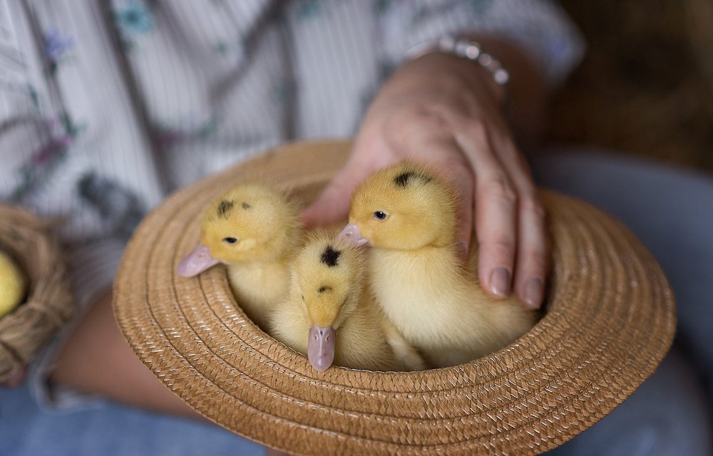 Мы тут погреемся немножко