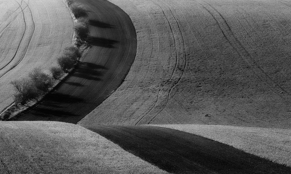 The Moravian fields, BW.