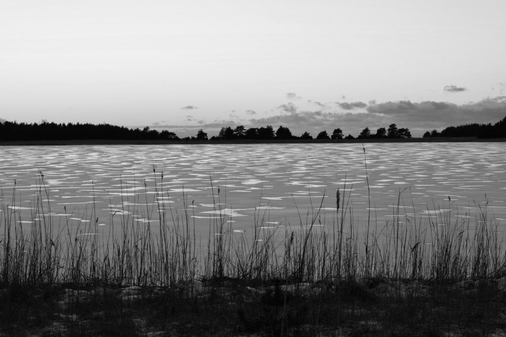 Photograph by Анатолий Орлов