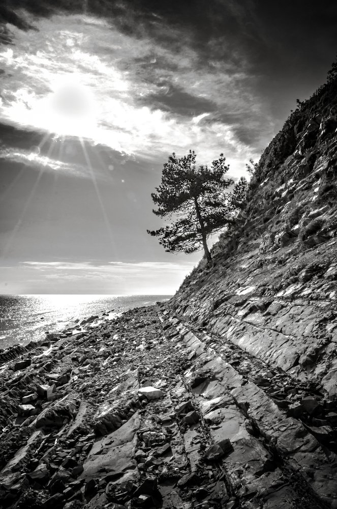 Чёрное море. Мыс Грязнова.