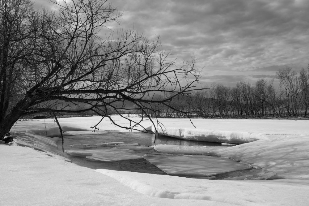 Весна на реке