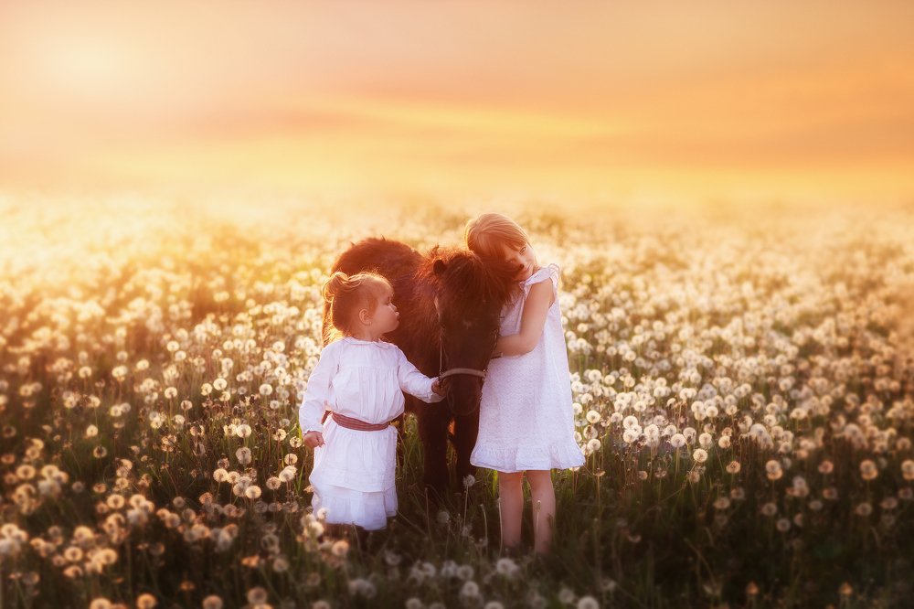 моя лошадка