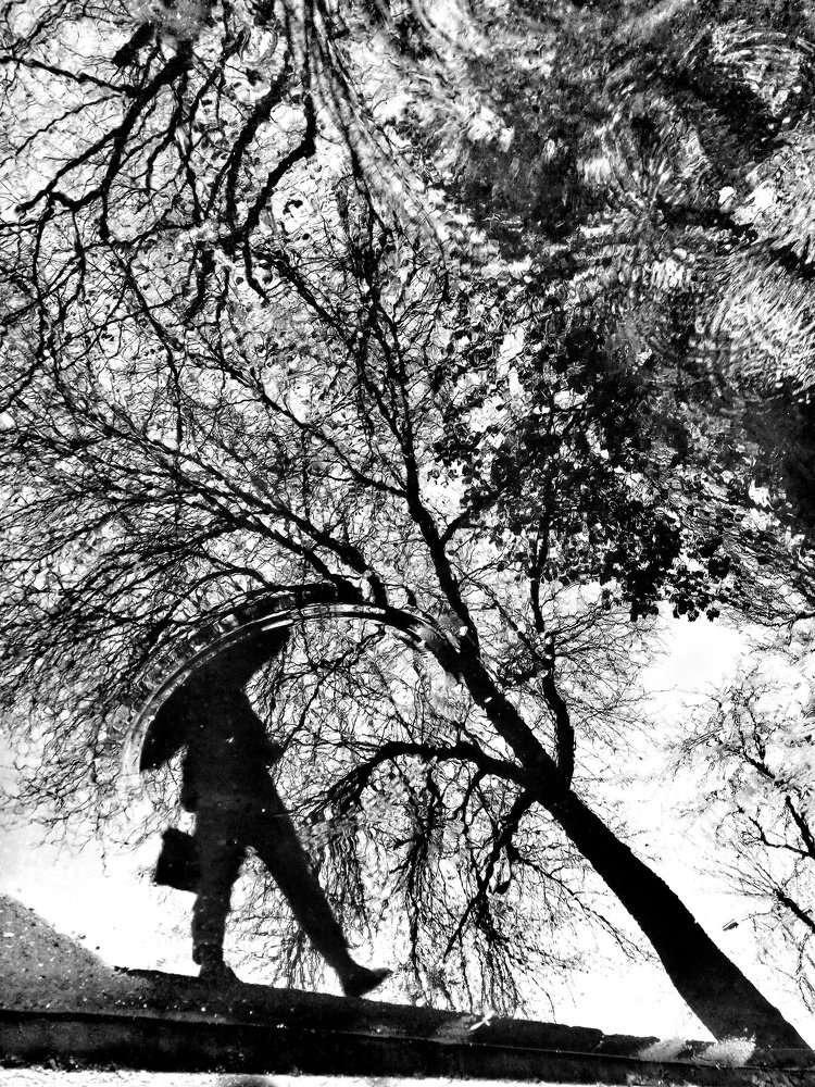 прогулка под дождем