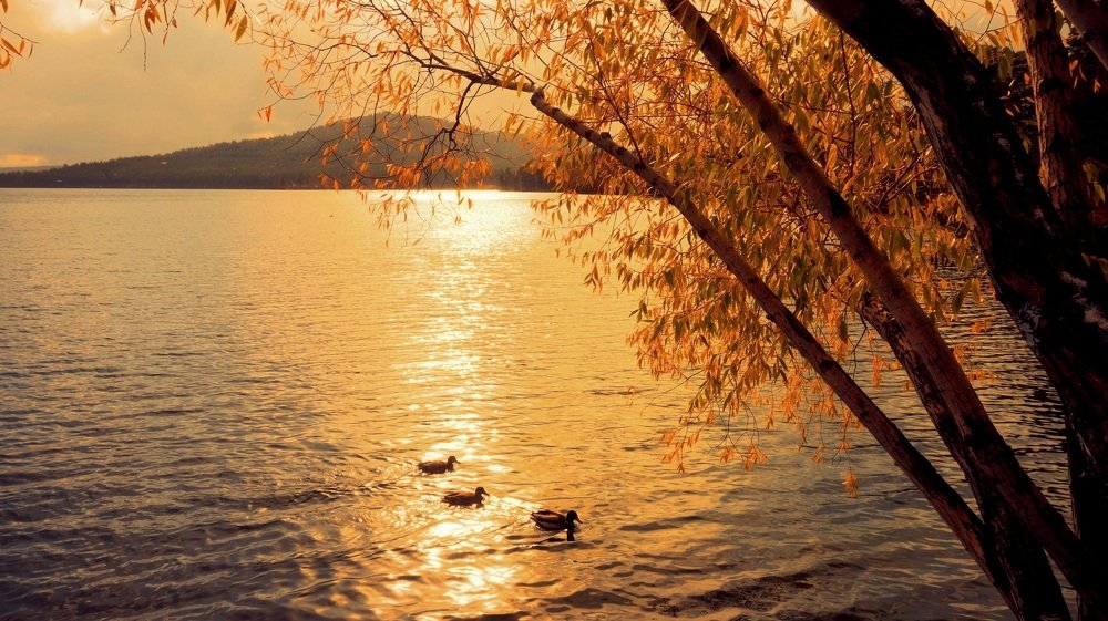 Photograph by Алия Байсыкова