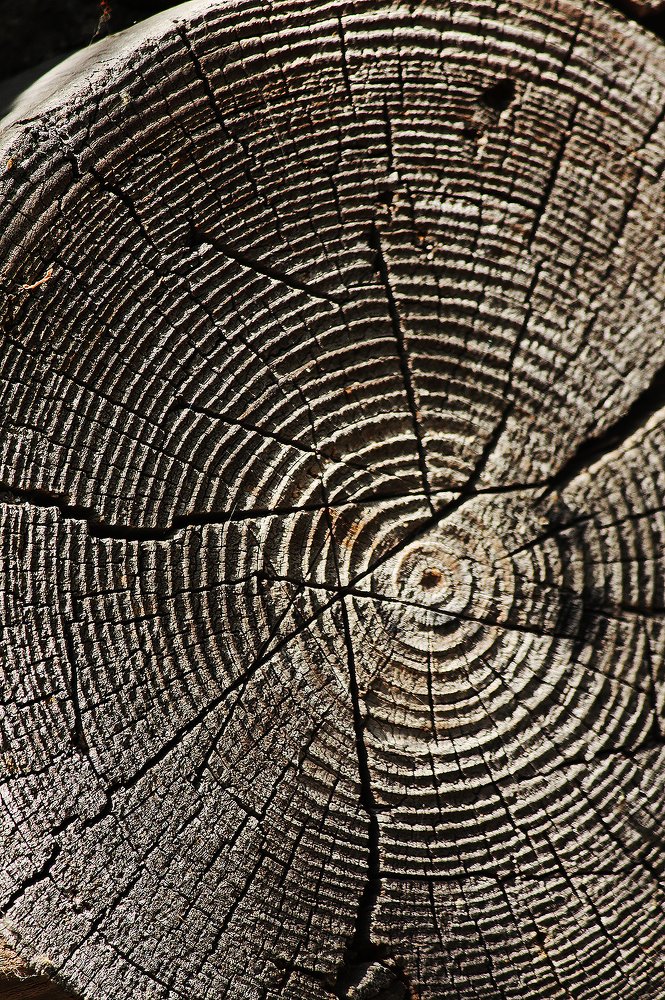 Photograph by Мария Сычёва