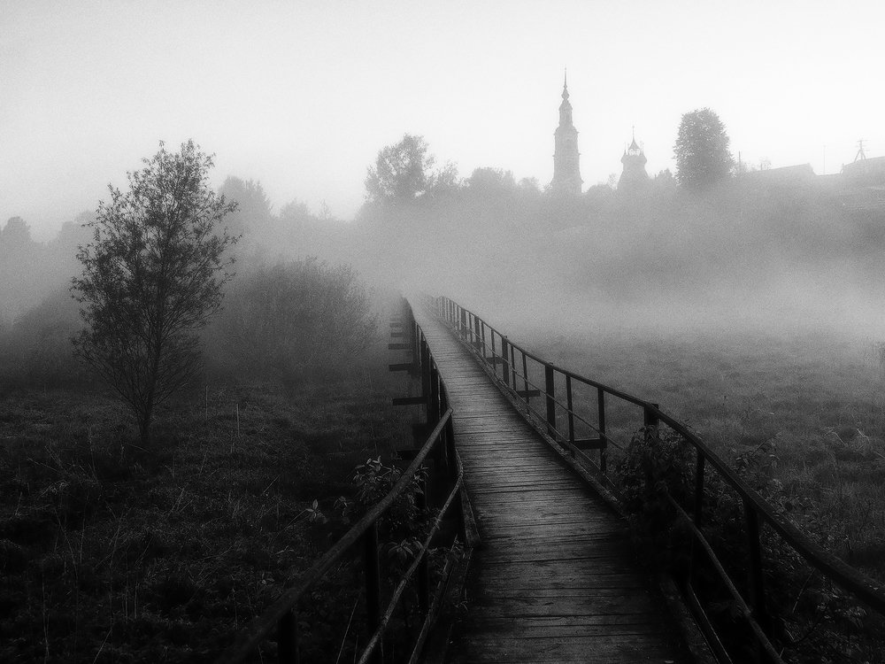 Курба туманная...