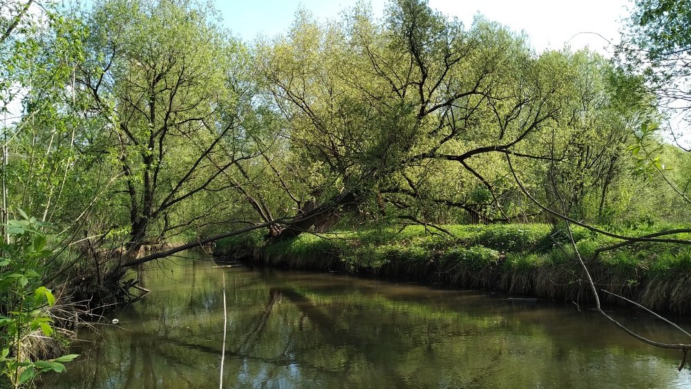 Московский парк. Весна.
