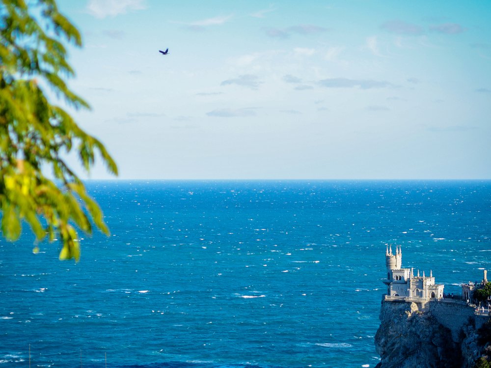 Ласточкино гнездо