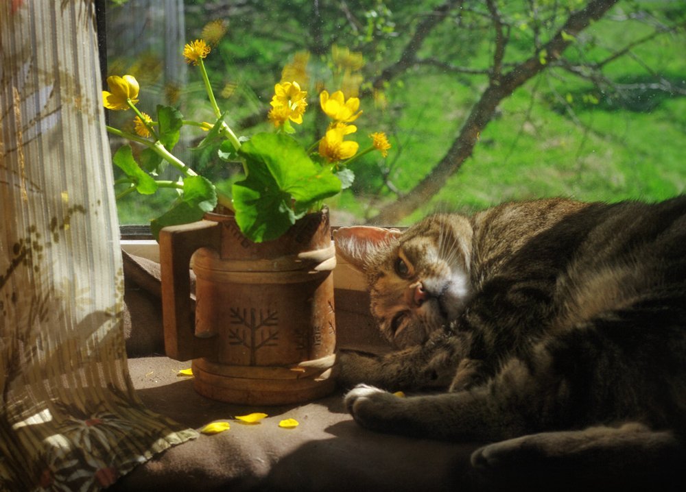 Думы о весне