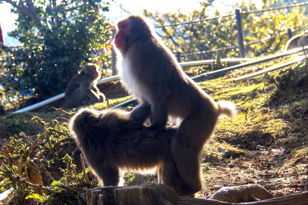 Photograph by Navruz Ibragimov