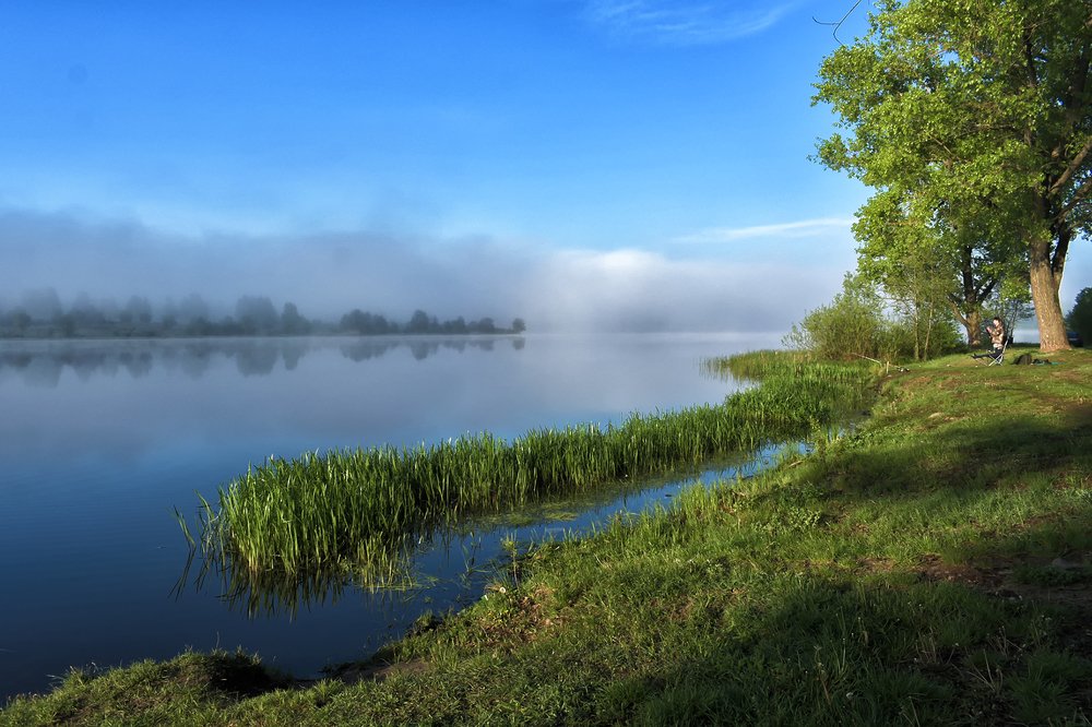 Туманное утро