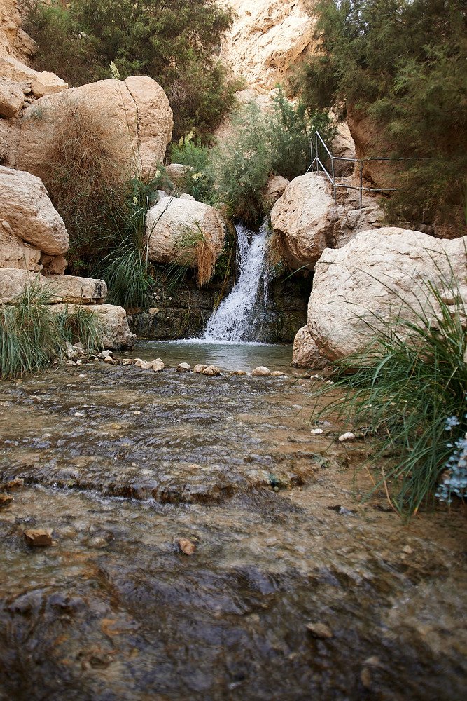 Эйн геди. Оазис среди пустыни