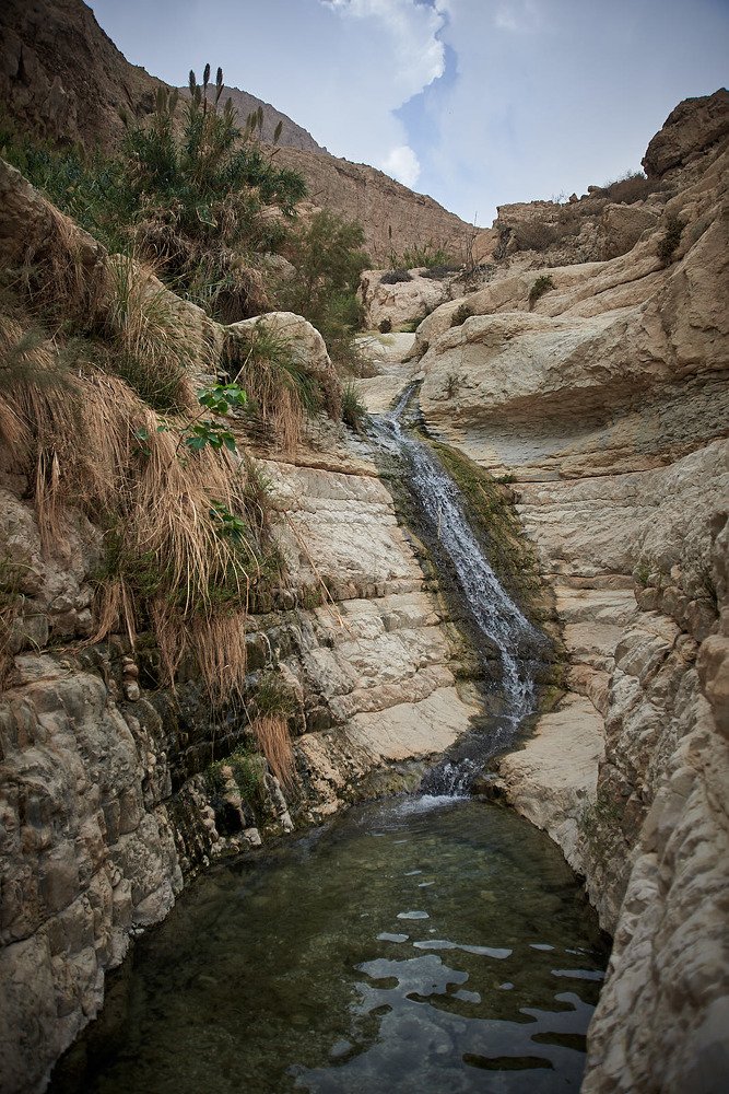 Оазис среди пустыни.