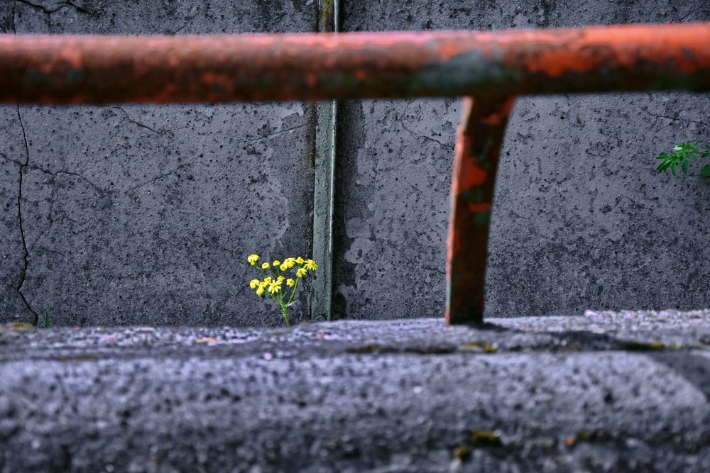 The power of the nature