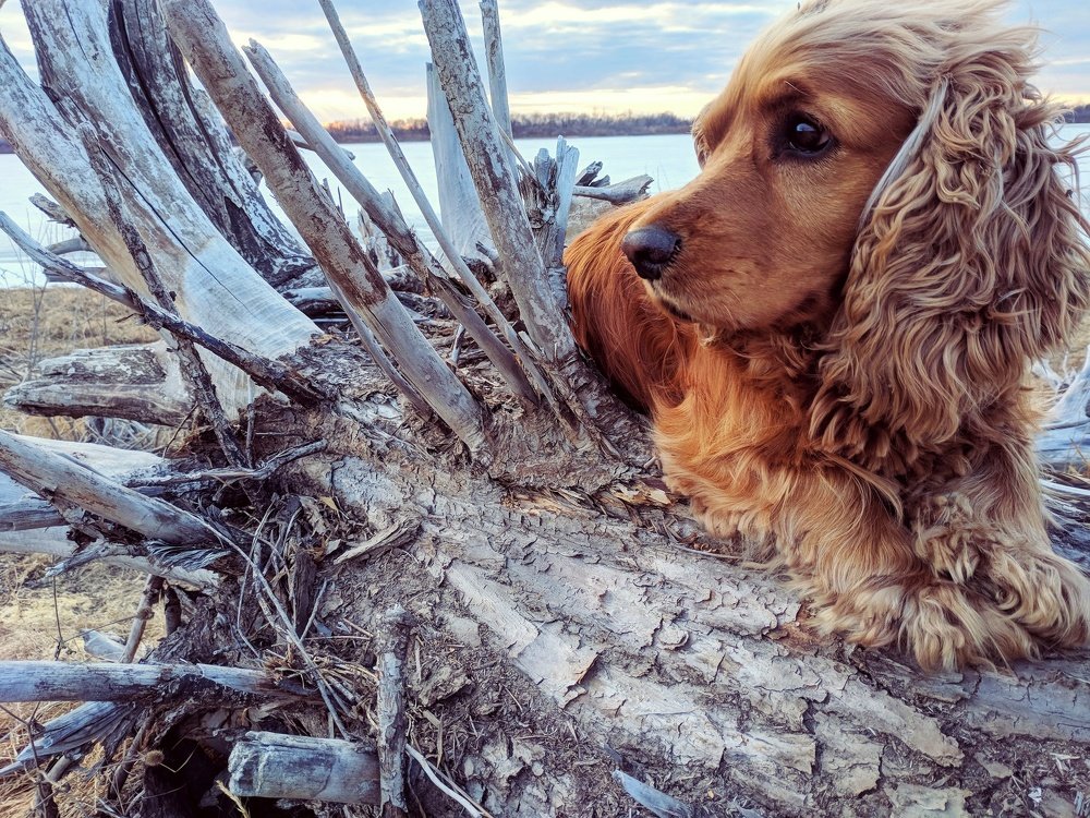 Photograph by Максим Сорокин