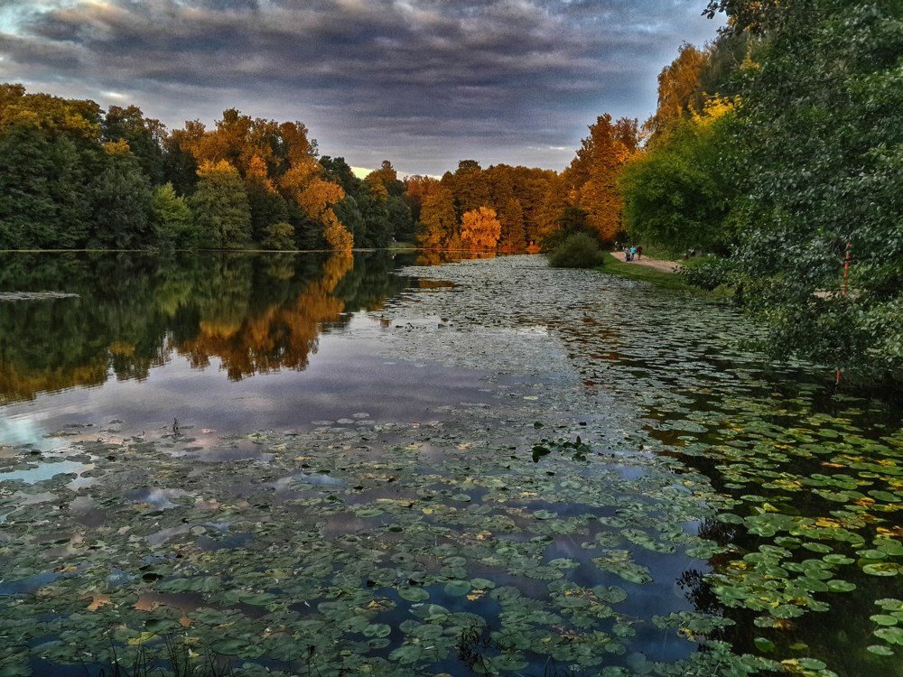 вечер над прудом