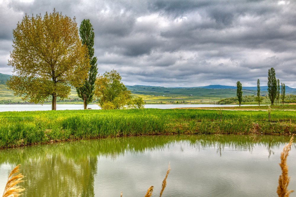 На Сенгилеевском водохранилище