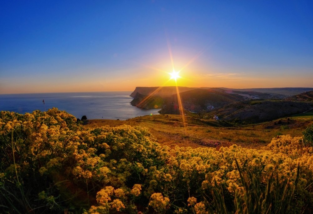 Балаклава в золотом