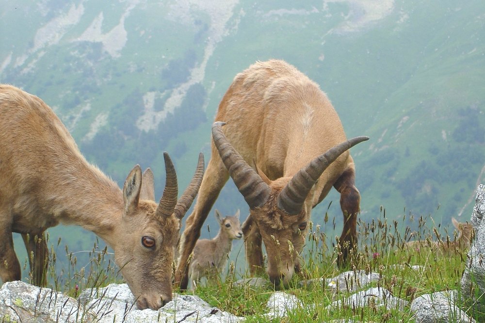 А меня не забудьте