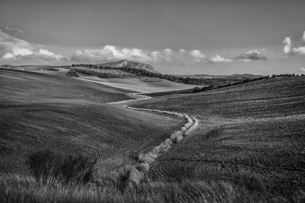 Дороги Андалуссии