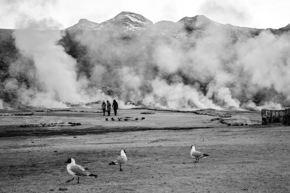 Birds, humans and geysers