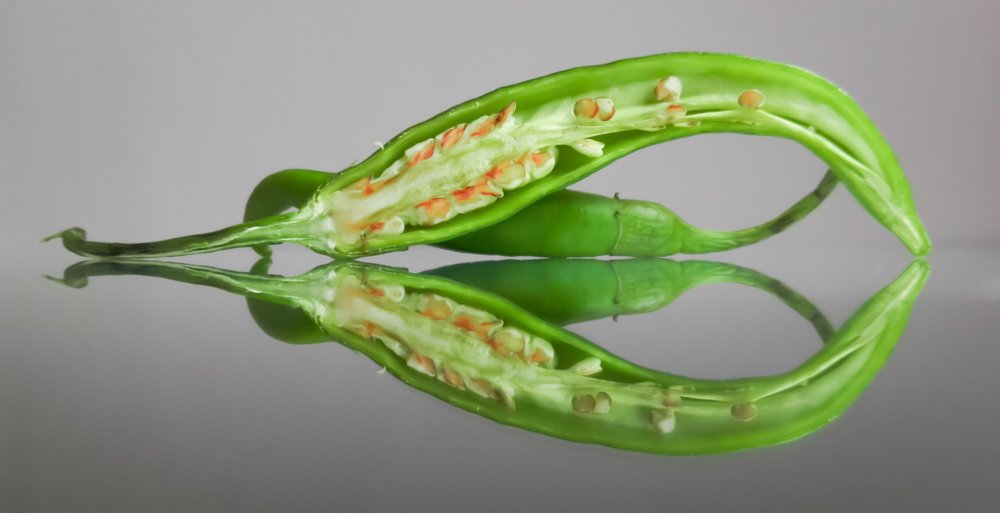 Photograph by hassan yazdi zeynab