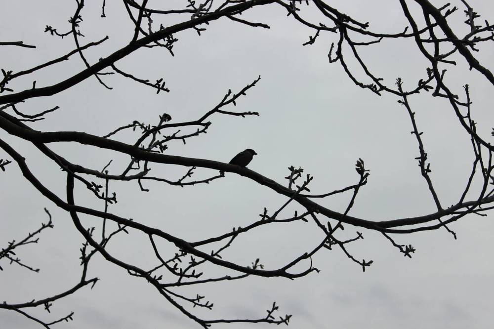 Майбутнє і минуле ...