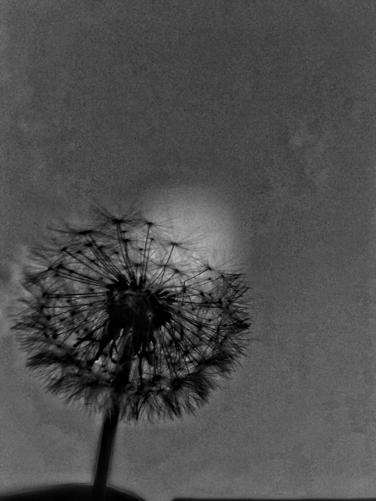 Цінуй те , що маєш зараз ....