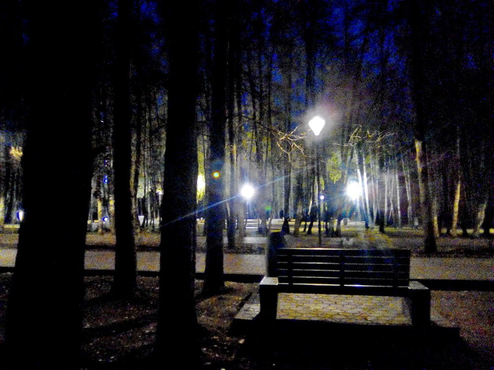Ночь в парке