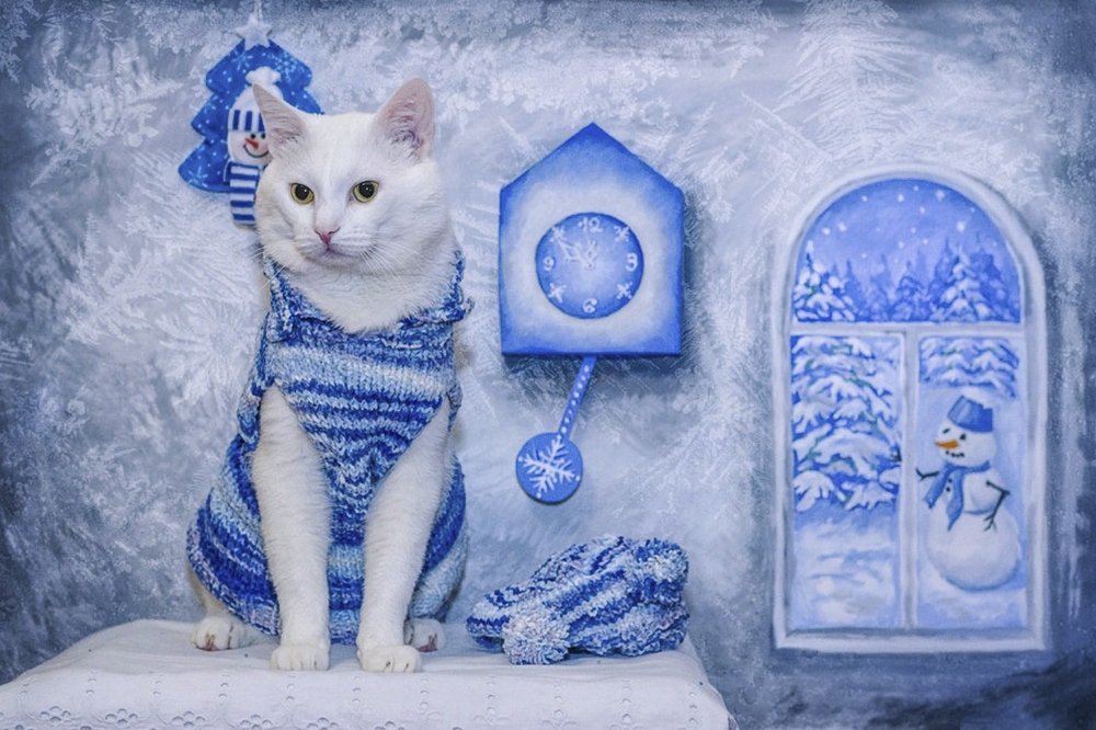 Снегурочка.