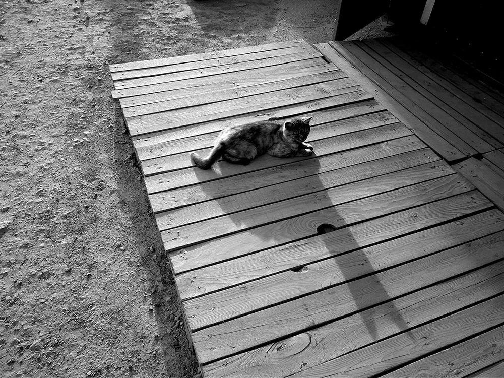 Теплым днем