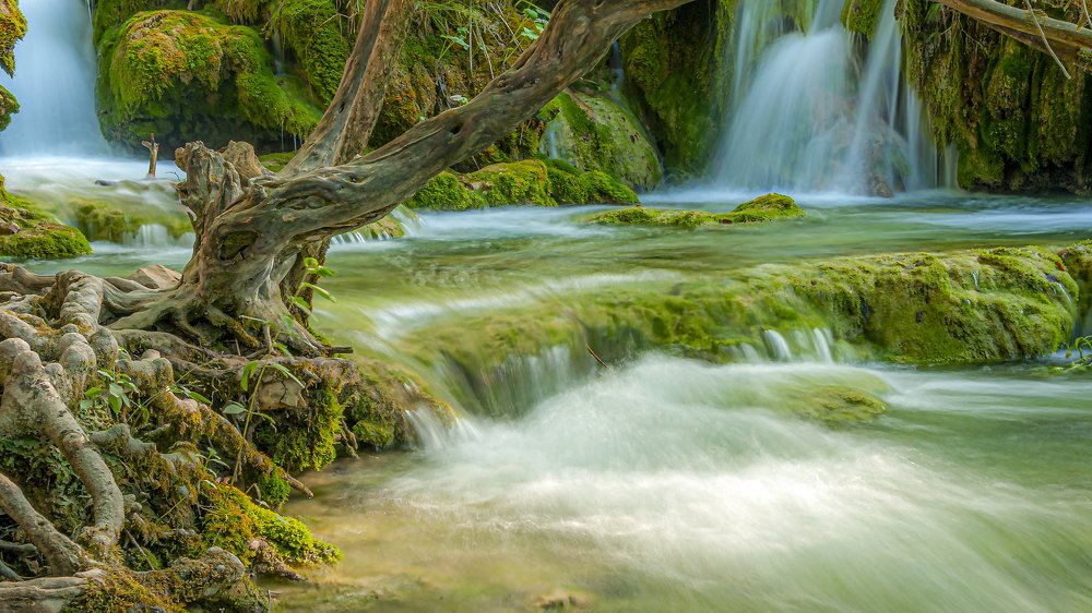 Водный хаос