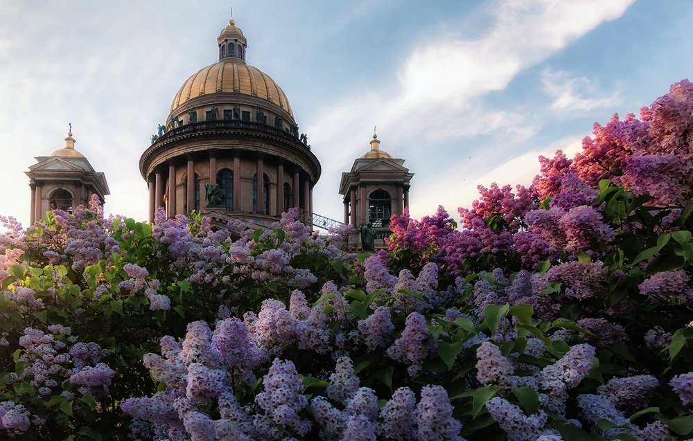 Майский вечер на Исаакиевской площади