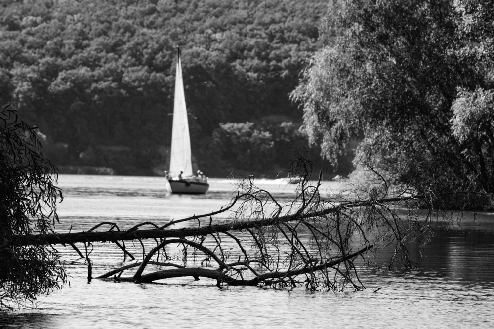 Фотография автора Андрей Серый