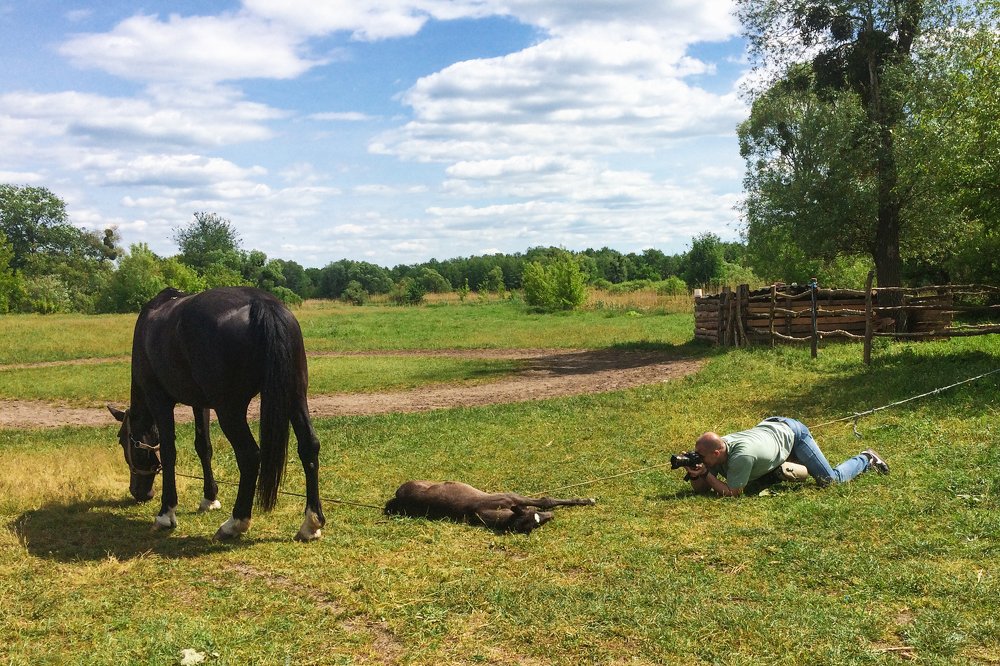 Фотография автора Андрей Серый