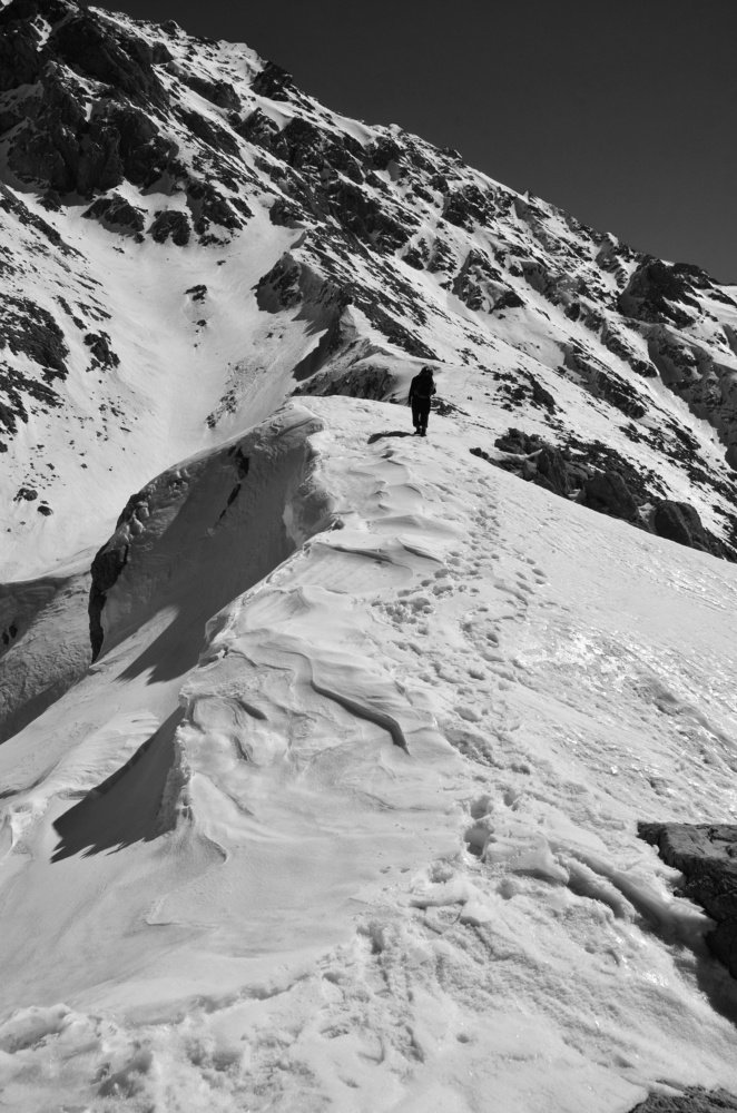 Photograph by Adl Abdolahi