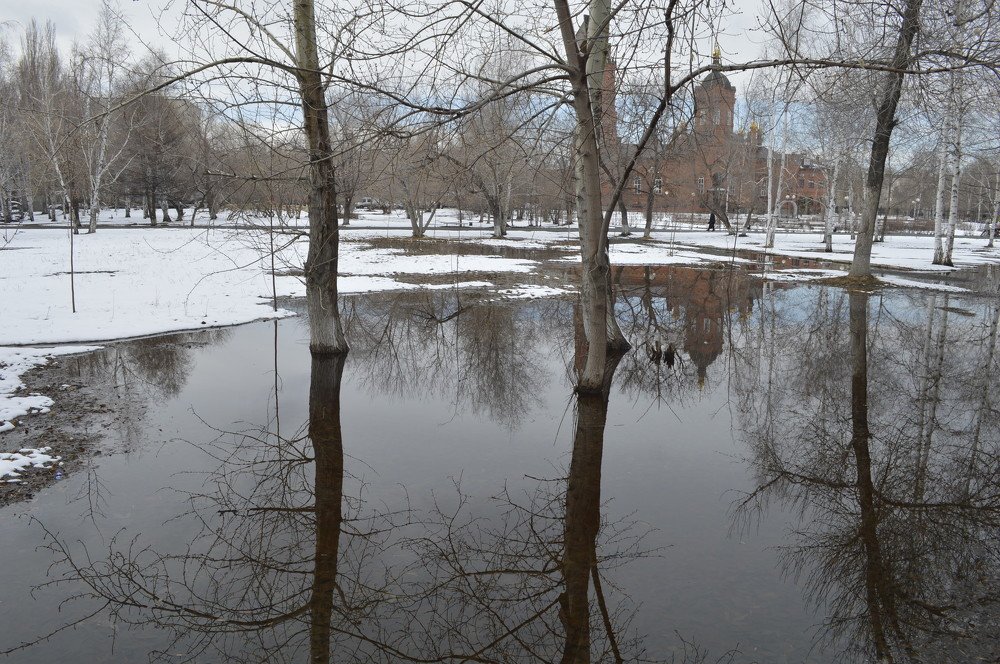 весна,однако!