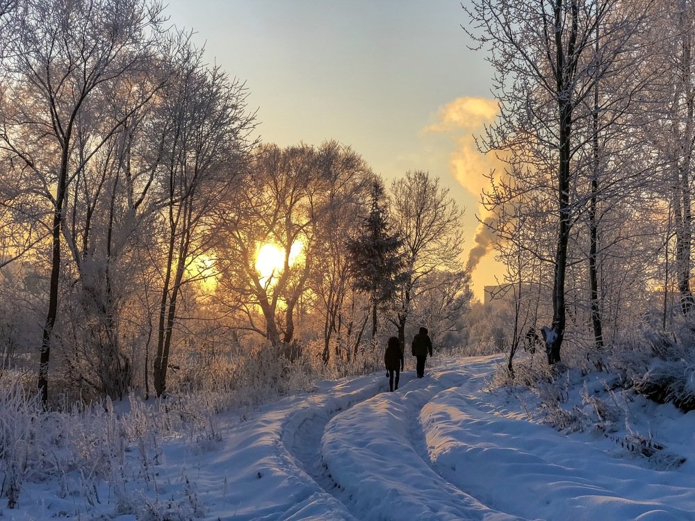 Зимняя сказка