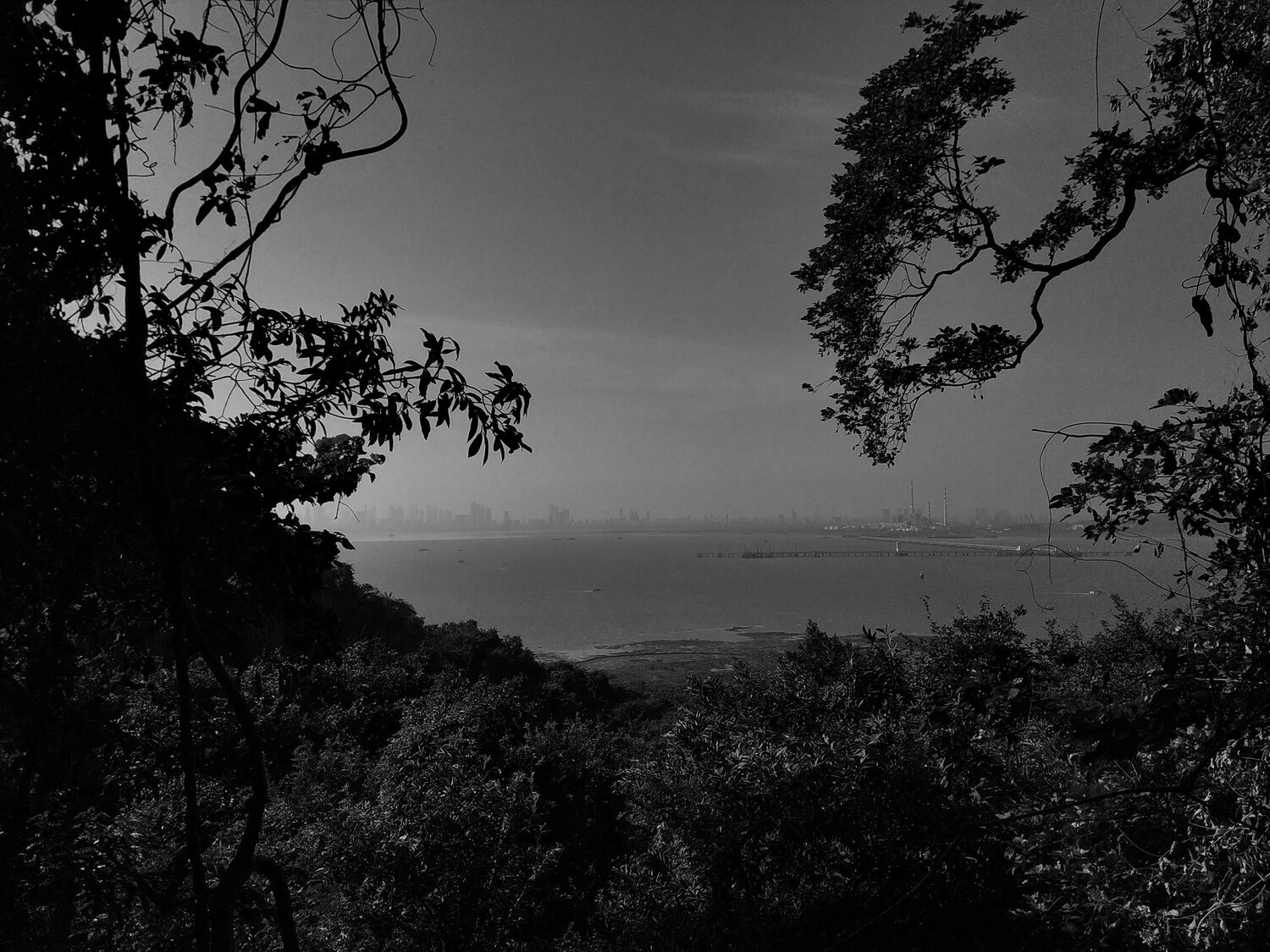 view from elephanta india