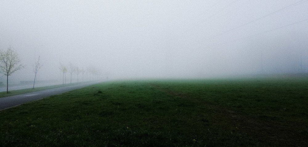 Photo #3234412