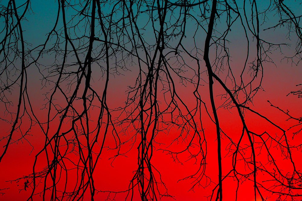 Вены природы