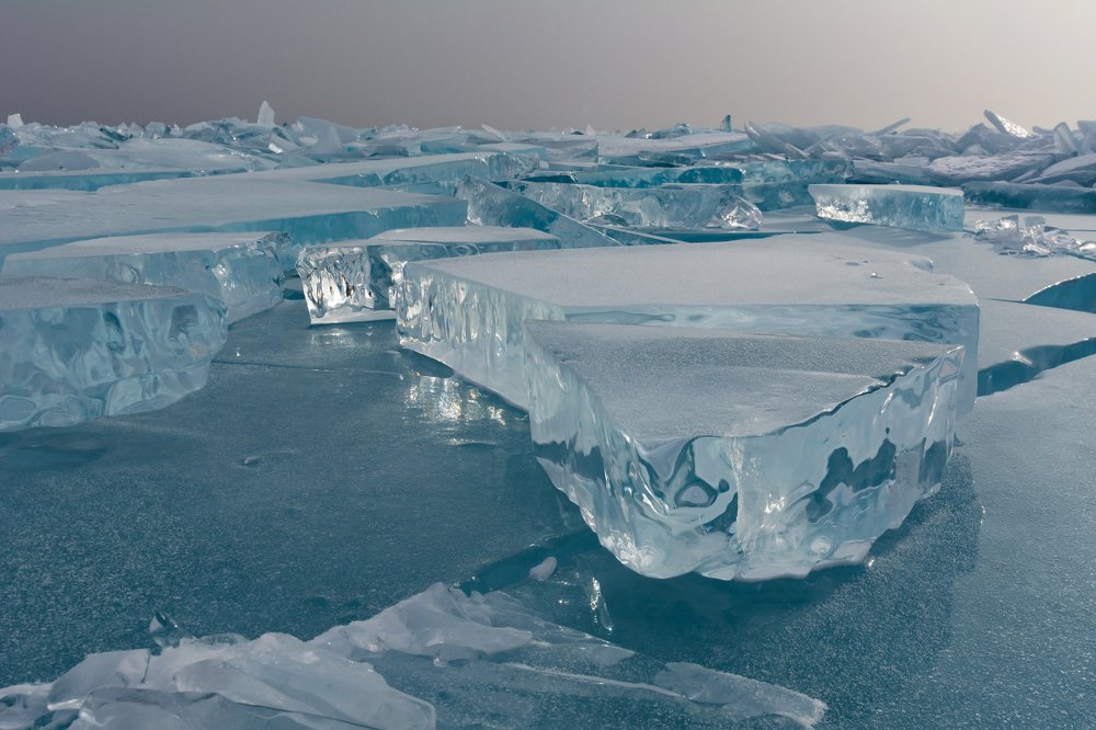 Photograph by Елена Вторушина