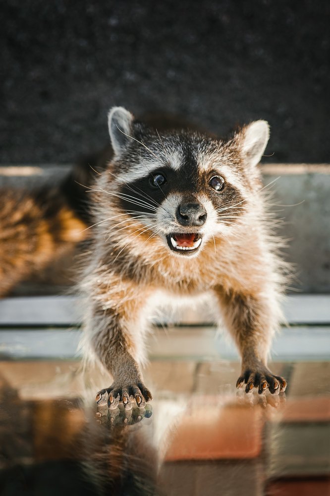 буду тебе другом