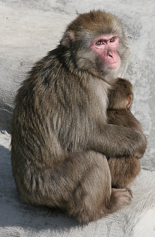 Хорошо, когда ты маленький...
