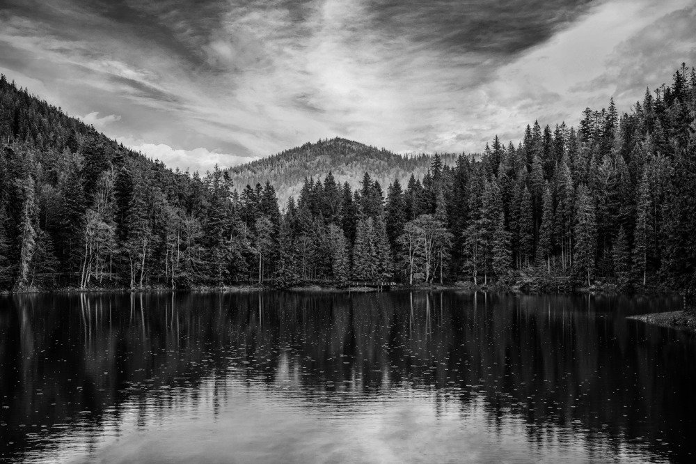 идеалаьная перспектива