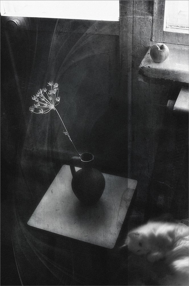 Иллюзия реальности..