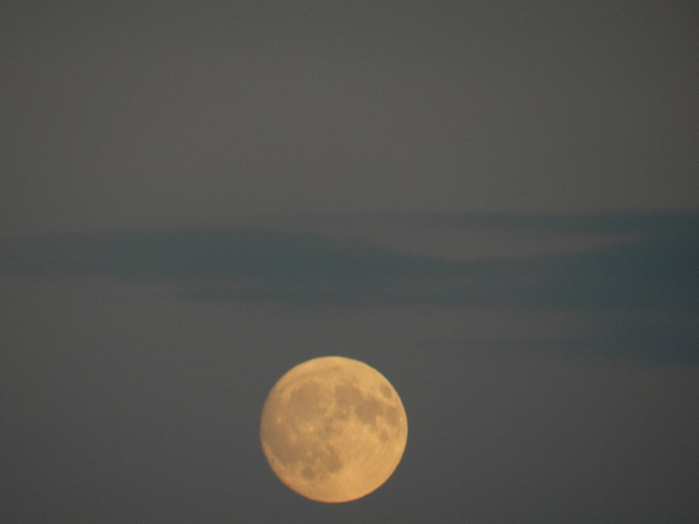 Photograph by mahmoud shihabi moni