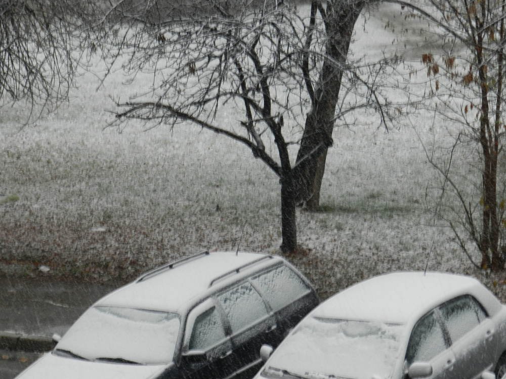 Photograph by mahmoud shihabi moni