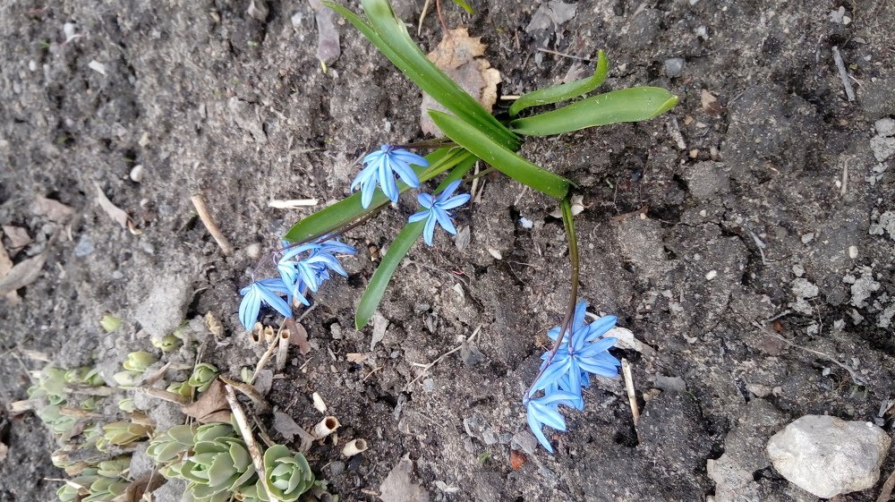 Photo #3234620