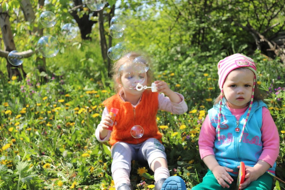 Весенние радости